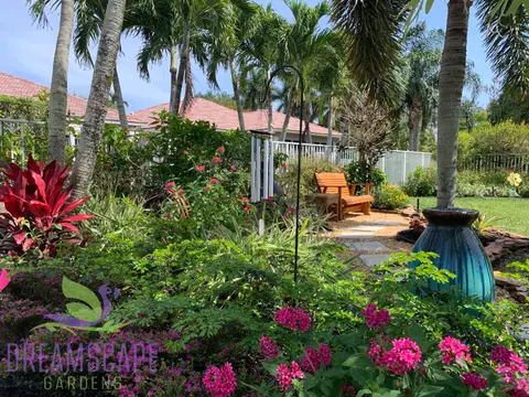 Palm tree installation and tropical planting by Dreamscape Gardens