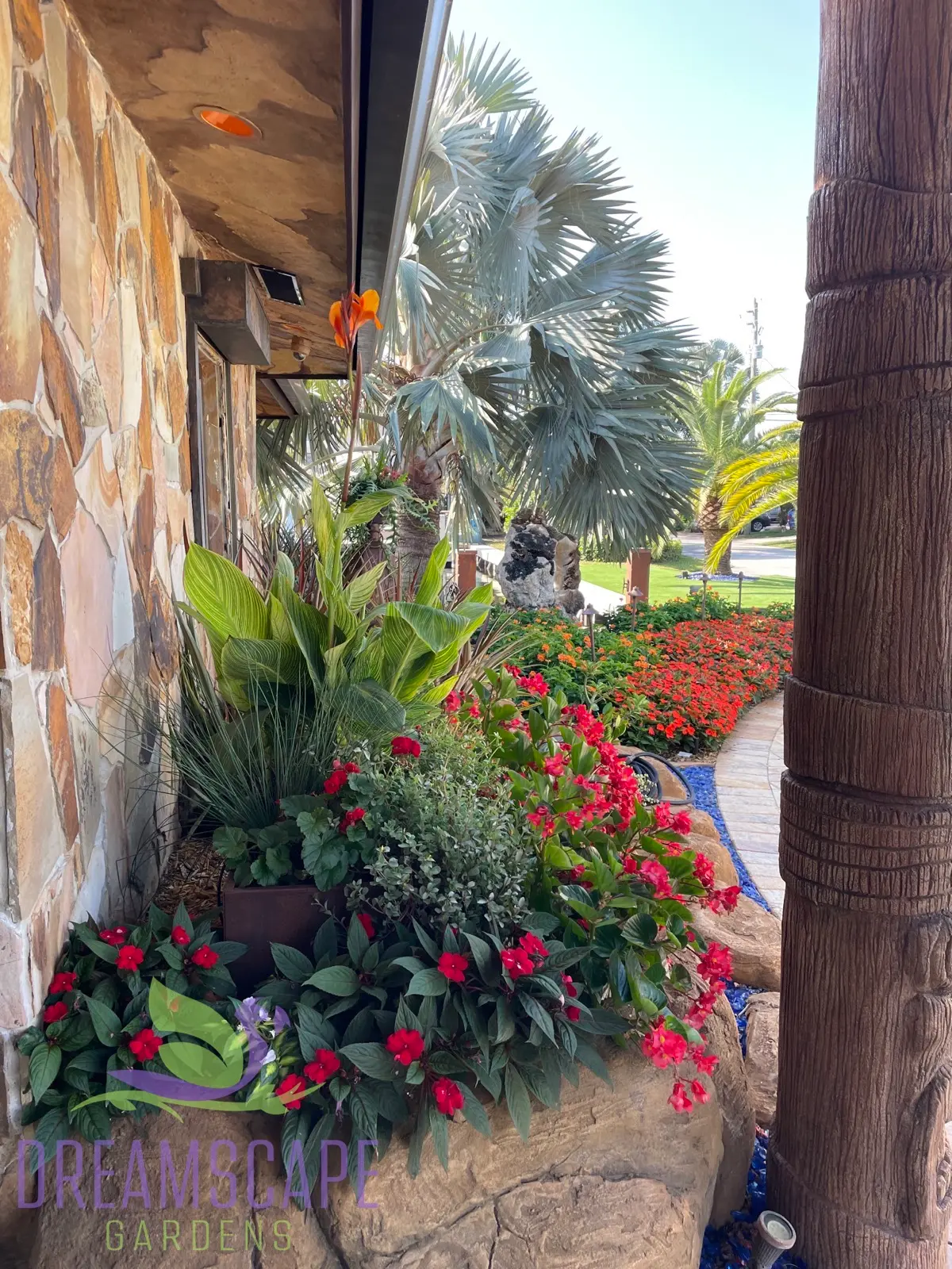 Tropical garden design with colorful foliage — Dreamscape Gardens