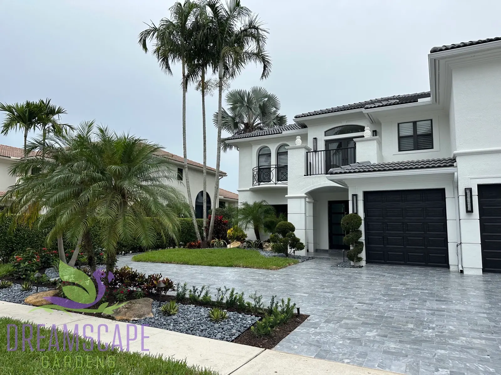Tropical garden with specimen palms and ground cover planting