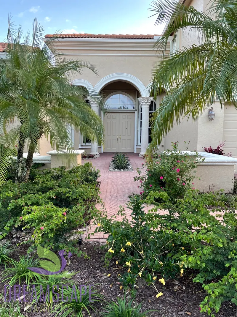 Established tropical garden maintained by Dreamscape Gardens showing mature plant growth and design intention