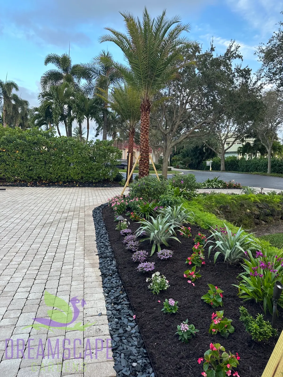 Vertical tropical planting with Bromeliads — South Florida luxury landscape