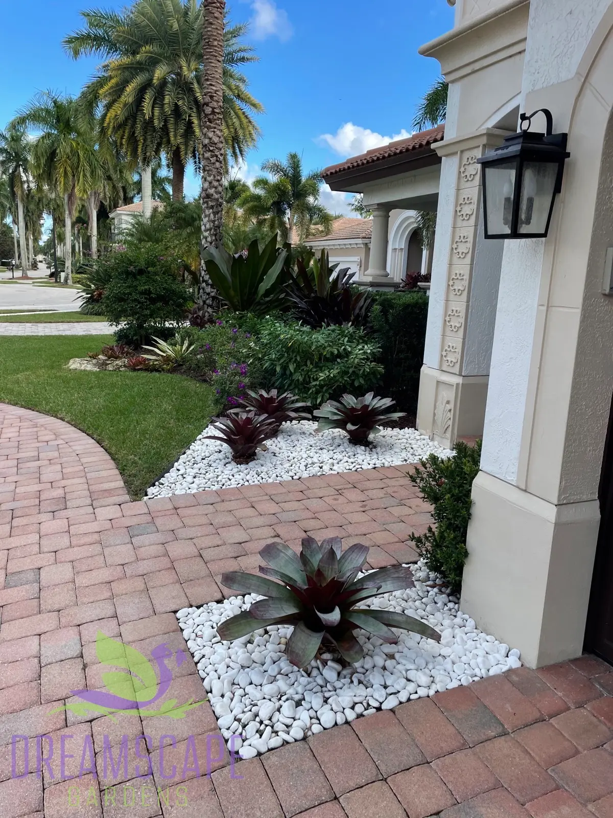 South Florida tropical garden — layered planting with canopy, mid-story, and ground cover